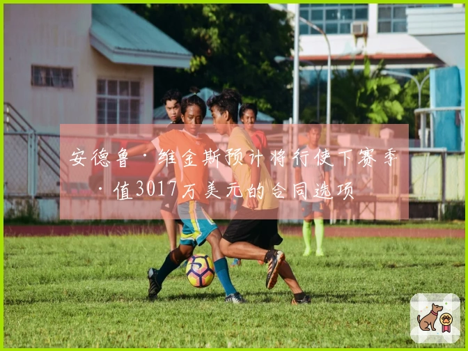 安德鲁·维金斯预计将行使下赛季价值3017万美元的合同选项