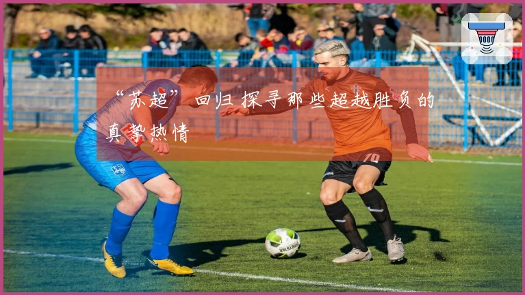 “苏超”回归 探寻那些超越胜负的真挚热情