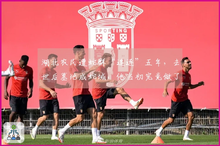 湖北农民遭蛇群“追逐”五年，去世后墓地成蛇域，他当初究竟做了什么？