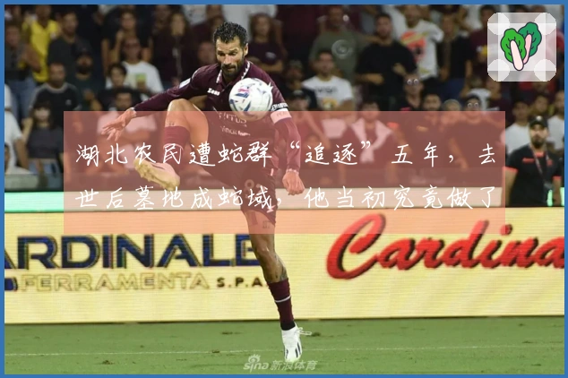 湖北农民遭蛇群“追逐”五年，去世后墓地成蛇域，他当初究竟做了什么？