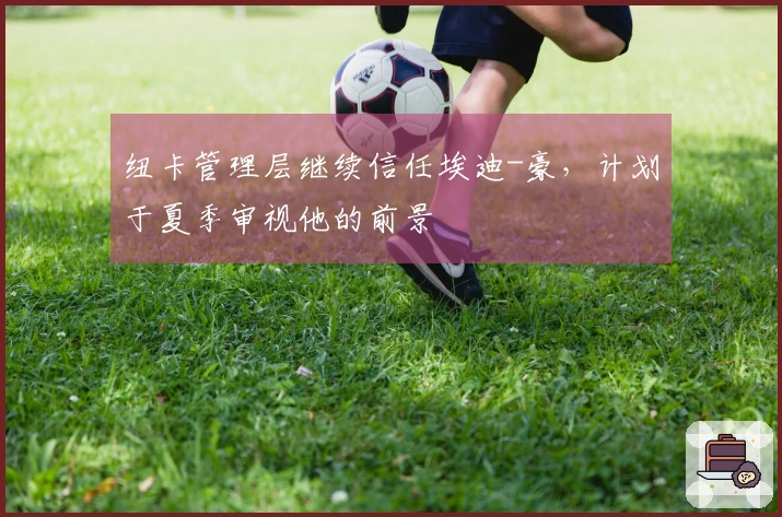 纽卡管理层继续信任埃迪-豪，计划于夏季审视他的前景